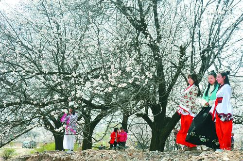 快直播足球直播 高清赛事